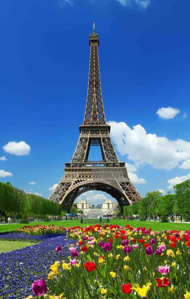 Eiffel Tower in front of flowers during spring in Paris