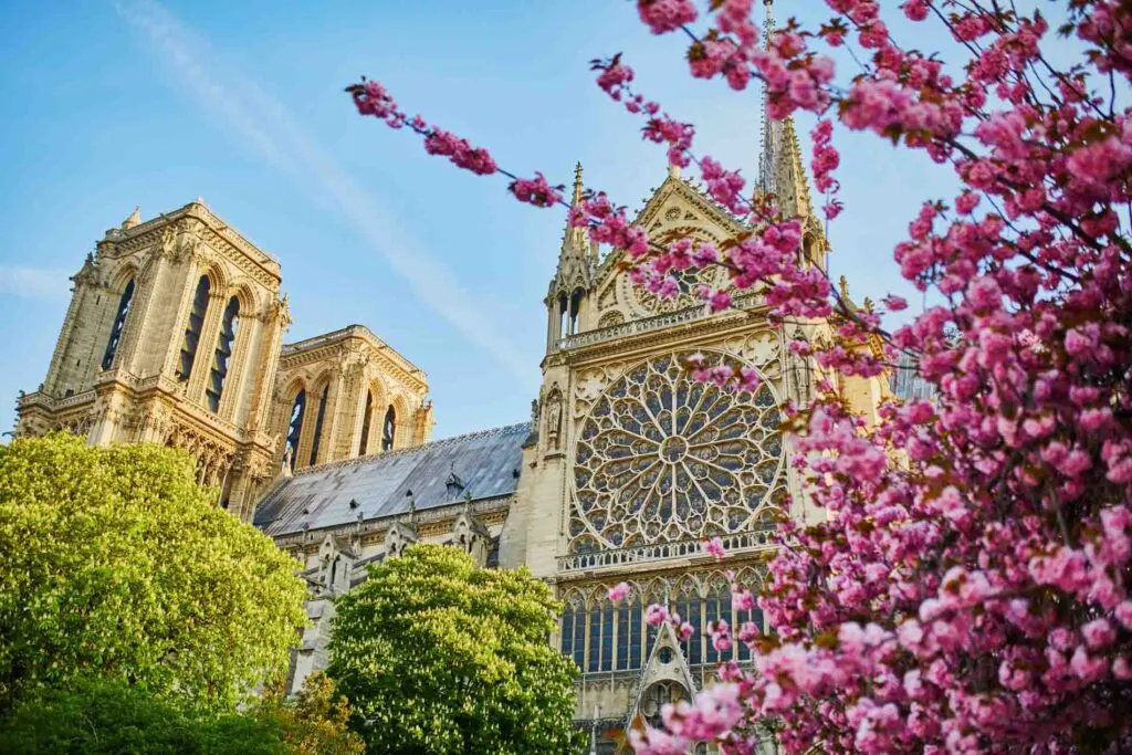 Flowers near the Notre Dame Cathedral during spring in Paris
