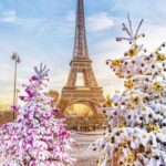 Christmas trees in front of Eiffel Tower in the winter