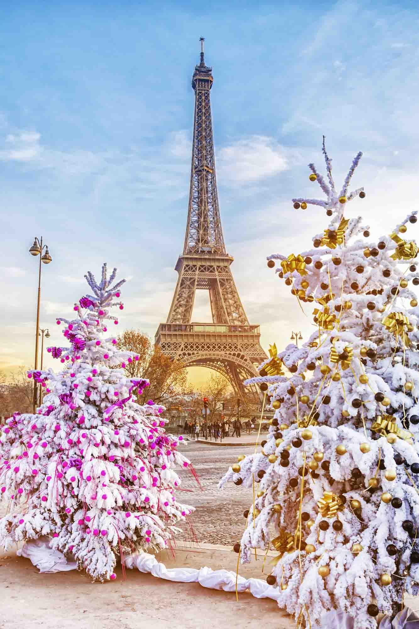 Christmas trees in front of Eiffel Tower in the winter